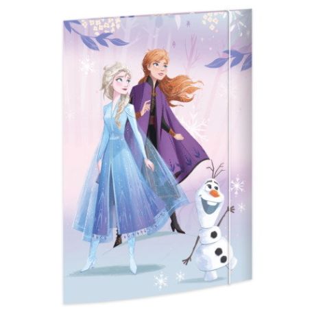 A3 Sammelmappe Frozen