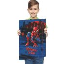 A3 Sammelmappe Spiderman