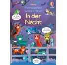 Wimmelrätsel In der Nacht