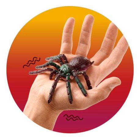 ZOO GRUSEL-SPINNE, 4-FACH SOR