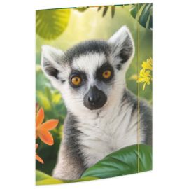 A3 Sammelmappe Lemur
