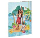 Vaiana A3 Mappe