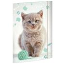 A3 Sammelmappe Kitty