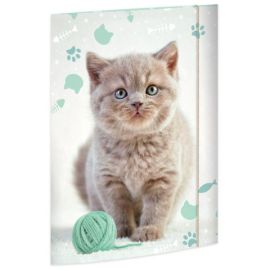A3 Sammelmappe Kitty