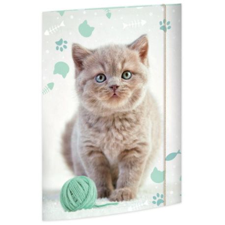A3 Sammelmappe Kitty