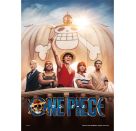 One Piece Straw 500 Teile