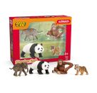 schleich®  WILD LIFE 42736 Wild Life Asien Starter-Set