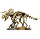 LEGO® Jurassic World™ 77985 Dinosaurier-Fossilien: Triceratops