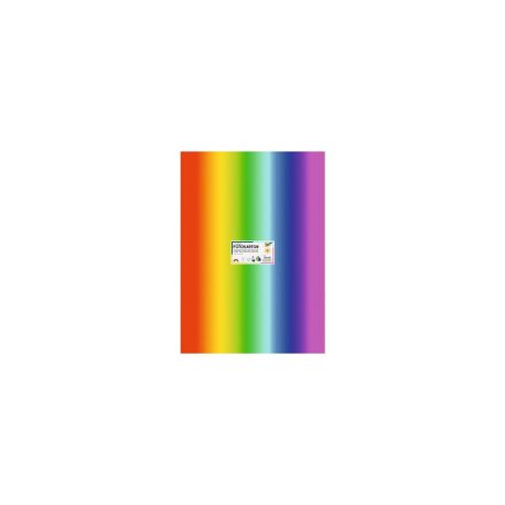 Regenbogenfotokarton (1x10)