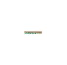 Greenl. Lineal 17 cm Motive s