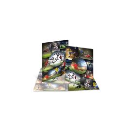 Sammelmappe Fußball A3 PP