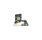 Sammelmappe Fußball A3 PP