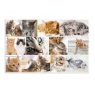 Schreibunterlage  Katzen
