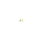Tintenroller FriXion Ball 0.7, 0,4m