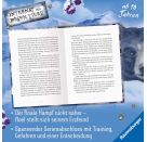 Internat der bösen Tiere, Band 6: Die Entscheidung (Bestseller-Tier-Fantasy ab 10 Jahre)