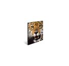 Sammelmappe A3 Leopard