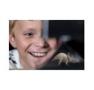 KidzLabs: Hologramm-Projektor