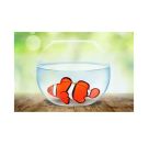 SUNFLEX DIVING PUPPIES, 4-fach sortiert