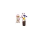 GFH Mini-Pflanzset Blumenwies