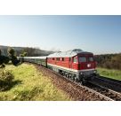 Märklin 36436 - H0 Diesellokomotive Baureihe 132