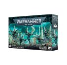 AELDARI: KRIEGSFALKEN