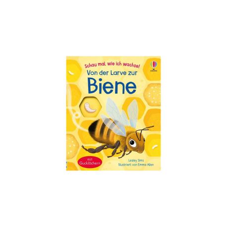 Von der Larve zur Biene