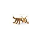 Stanley Stick Insect