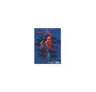 A3 Sammelmappe Spiderman