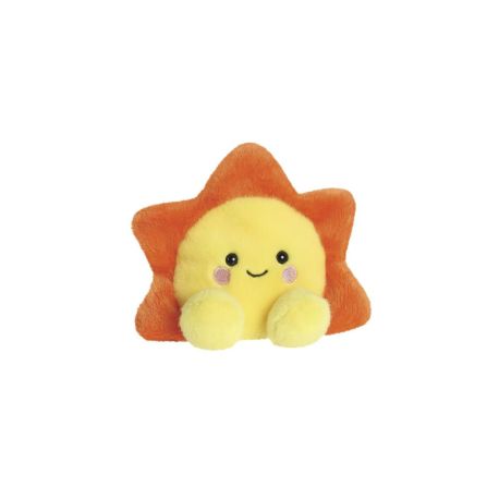 82147 PP RAE SUN (1)