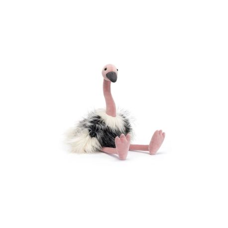 Ramonda Ostrich