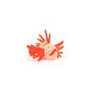 Lois Lionfish