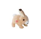 PetZoo BunBun