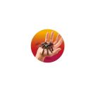 ZOO GRUSEL-SPINNE, 4-FACH SOR