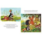 Der kleine Maulwurf und der Fernseher