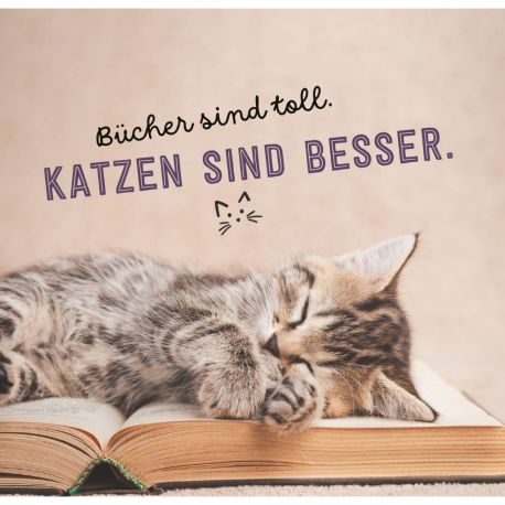 Don t hurry, be Kitty!