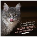 Don t hurry, be Kitty!