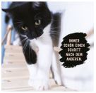 Don t hurry, be Kitty!