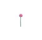 Blatt & Blüte  Blüten-Stift
