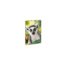 A3 Sammelmappe Lemur