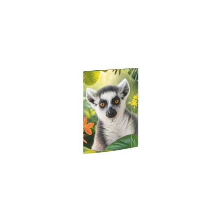 A3 Sammelmappe Lemur