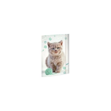 A3 Sammelmappe Kitty
