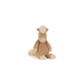 Canterneigh Pony