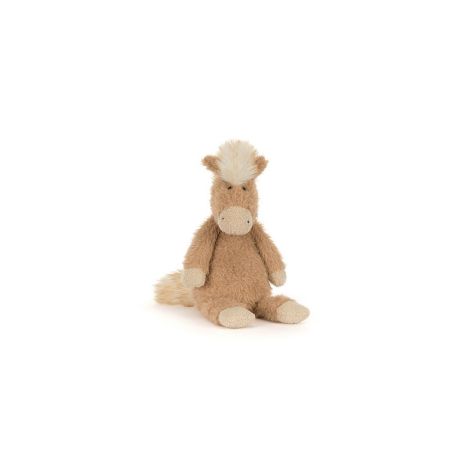 Canterneigh Pony