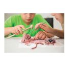 KidzLabs: Krabbeltier-Ausgrabung