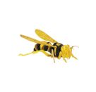 fridolin - 3D Papiermodell - Hornisse, Spezialkarton, gelasert