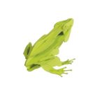 fridolin - 3D Papiermodell - Frosch, Spezialkarton, gelasert