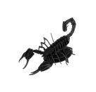 fridolin - 3D Papiermodell - Skorpion, Spezialkarton, gelasert