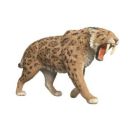 Säbelzahntiger