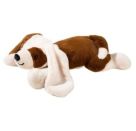 Kuma Hund Liegend