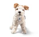 Foxy Foxterrier 32 bunt